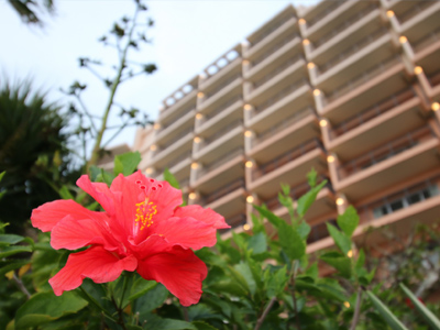 宿泊業開業支援